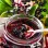 Gattung Sambucus (Holunder): Botanik, Phytochemie und Heilkraft