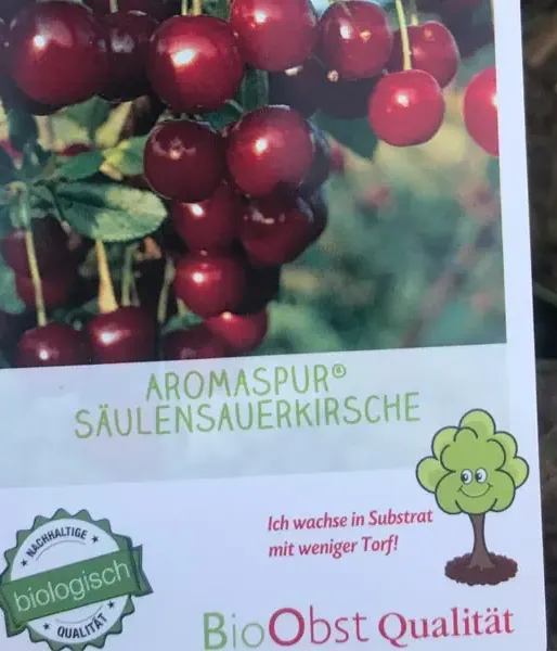 BIO AROMA SPUR SÄULENSAUERKIRSCHE - Tutifruti SK