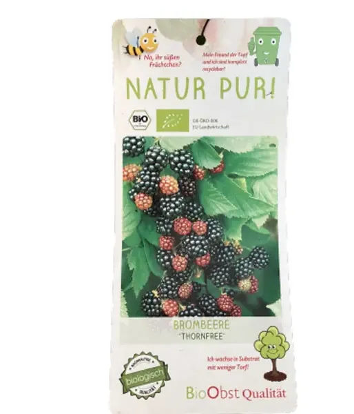 Bio Černica (Rubus fruticosus) THORNFREE - Tutifruti SK