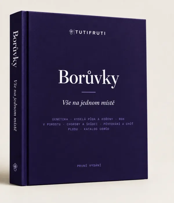 Blueberries - Everything in One Place (PDF e-book) Czech