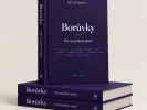 Blueberries - Everything in One Place (PDF e-book) Czech