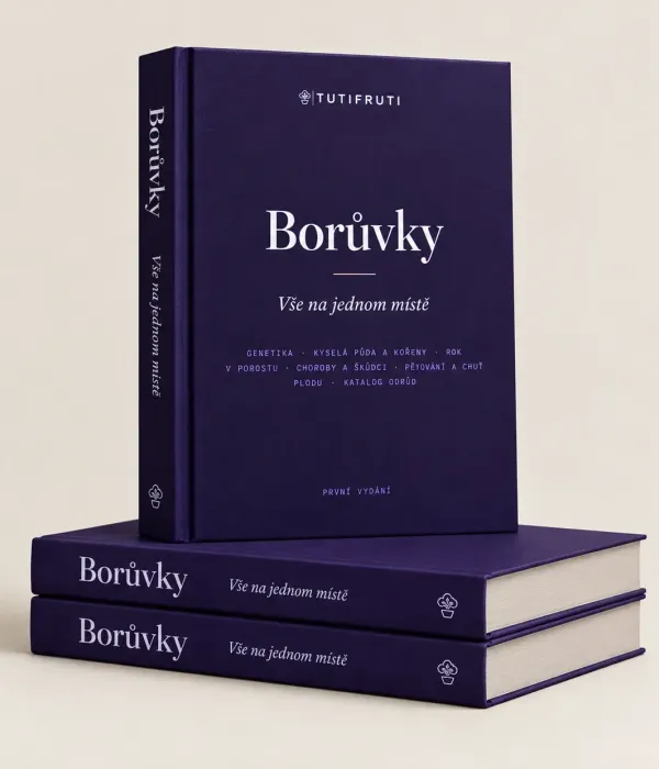 Blueberries - Everything in One Place (PDF e-book) Czech