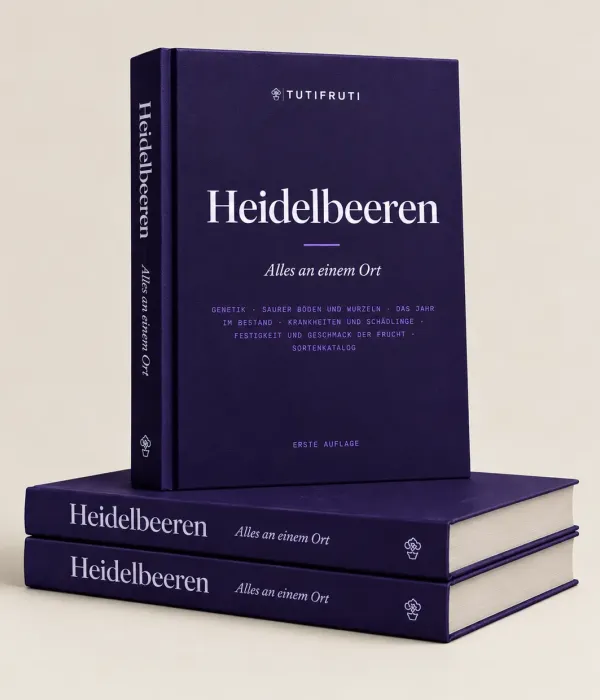 Blueberries - Everything in One Place (PDF e-book) German