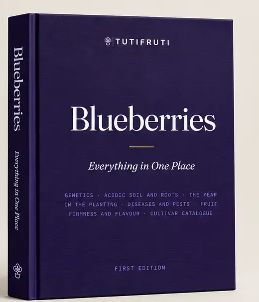 Blueberries - Everything in One Place (PDF e-book) English