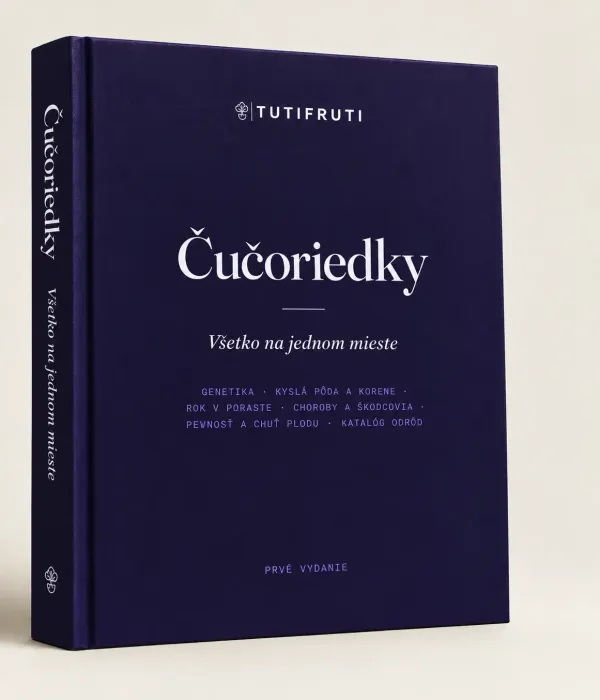 Blueberries - Everything in One Place (PDF e-book) Slovak