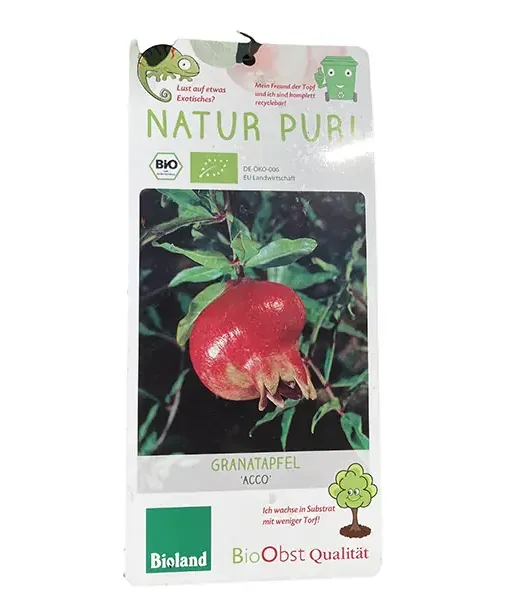 BIO Granatapfel (Punica granatum) ACCO - Tutifruti SK