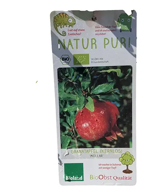 BIO Pomegranate (Punica granatum) MOLLAR - Tutifruti SK