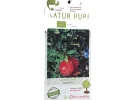 BIO Granatapfel (Punica granatum) WONDERFUL - Tutifruti SK