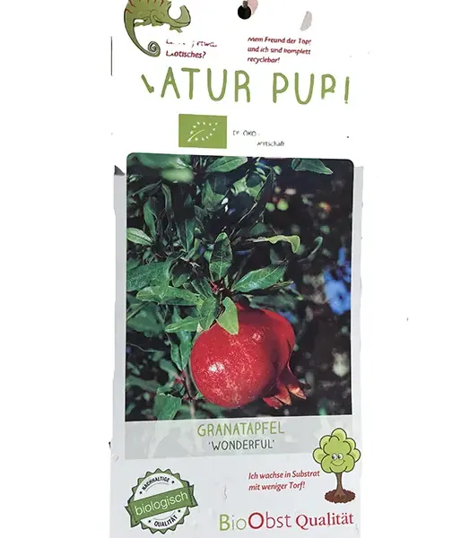 BIO Granatapfel (Punica granatum) WONDERFUL - Tutifruti SK