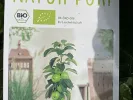 BIO Säulenapfelbaum AROMA SPUR GRUN - Tutifruti SK