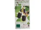 BIO Moruša (Morus nigra) MULLE - Tutifruti SK