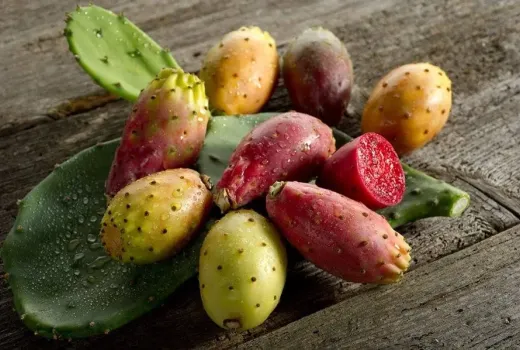 Opuntia (Kaktusfeige): Wirkung, Anbau und warum sie ein Superfood ist