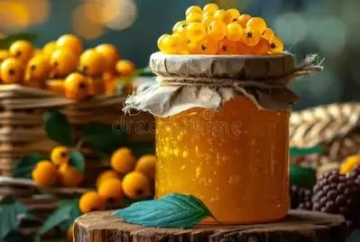 Gold-Johannisbeere (Ribes aureum) und nordische Arten: Botanik & Chemie